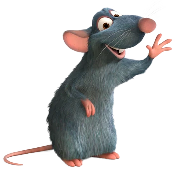 chef